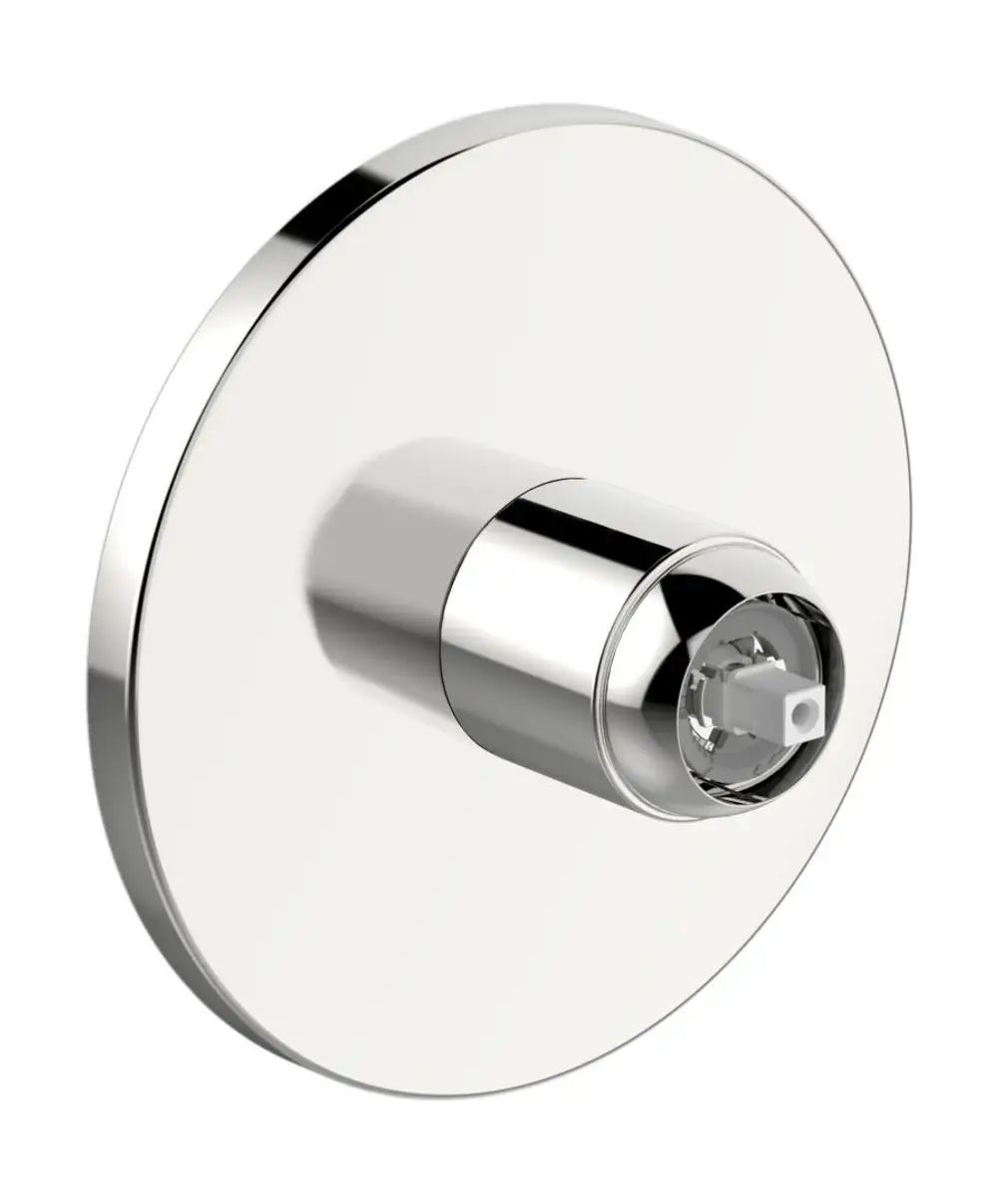 Runde Wandrosette aus Chrom mit zentralem Anschluss, geeignet für HANSAVAROX PRO Brausebatterie, zur nahtlosen Integration in Badezimmerdesigns.